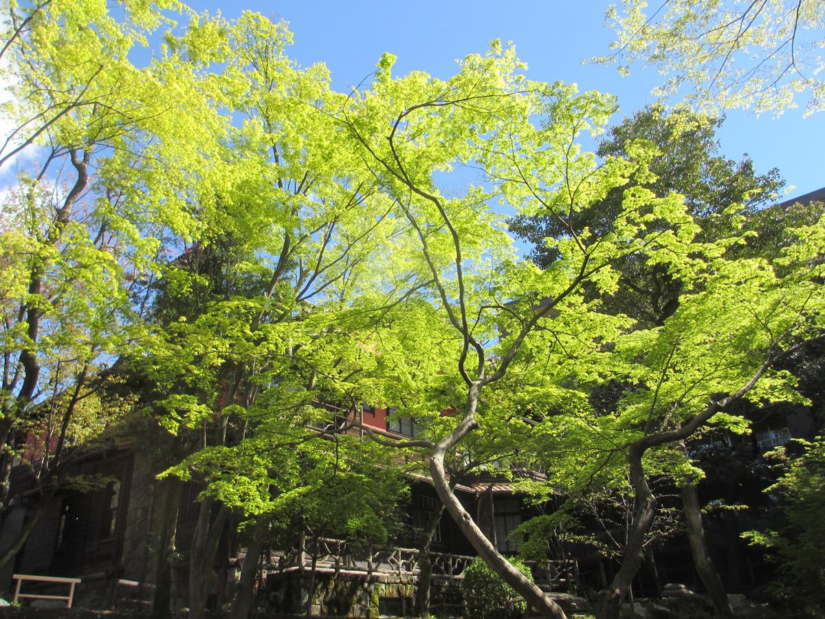 名古屋