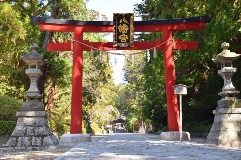 星宇航空仙台